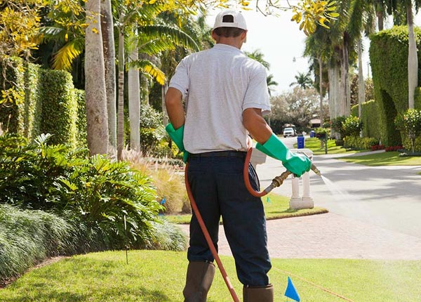 About Supply NC Pest Control